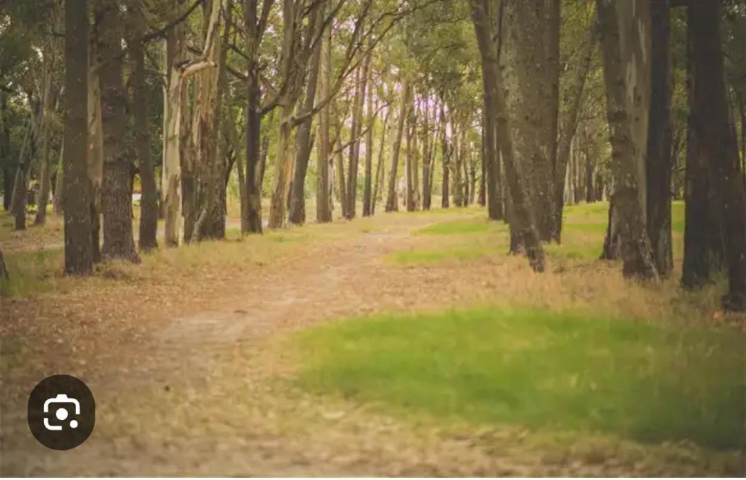 מונטווידאו Playa, Bosque Y Lago מראה חיצוני תמונה